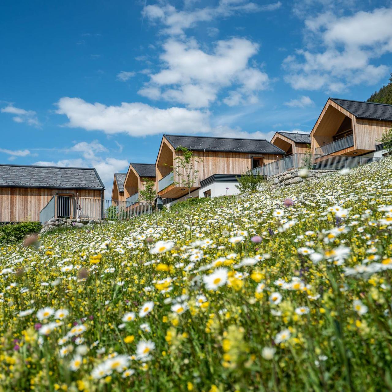 Change Maker Hotel Regitnig Weissensee Chalets Sommerwiese