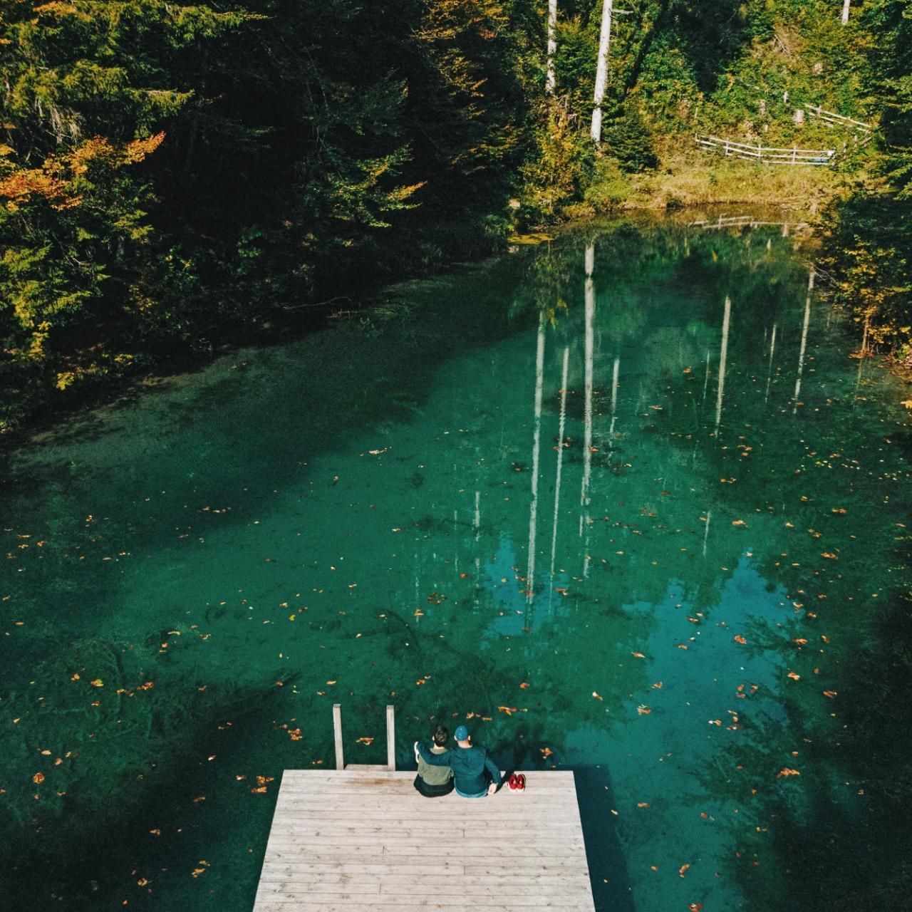 Wald Teich im Herbst beim Biohotel Daberer