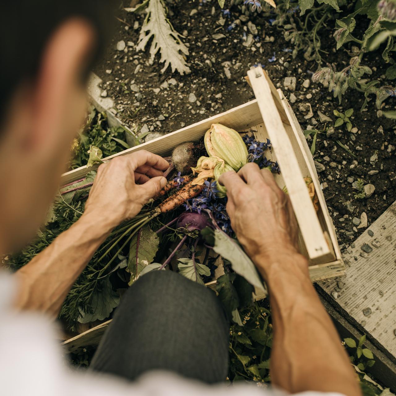 Mann, der eine Kiste mit Gemüse bearbeitet