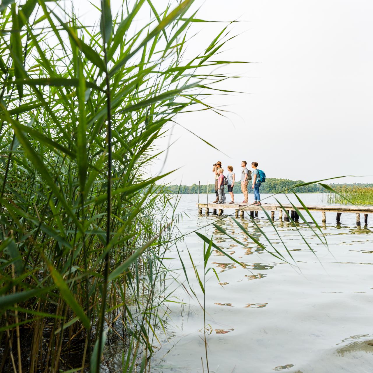  Hiking in the biosphere reserve Schaalsee_5