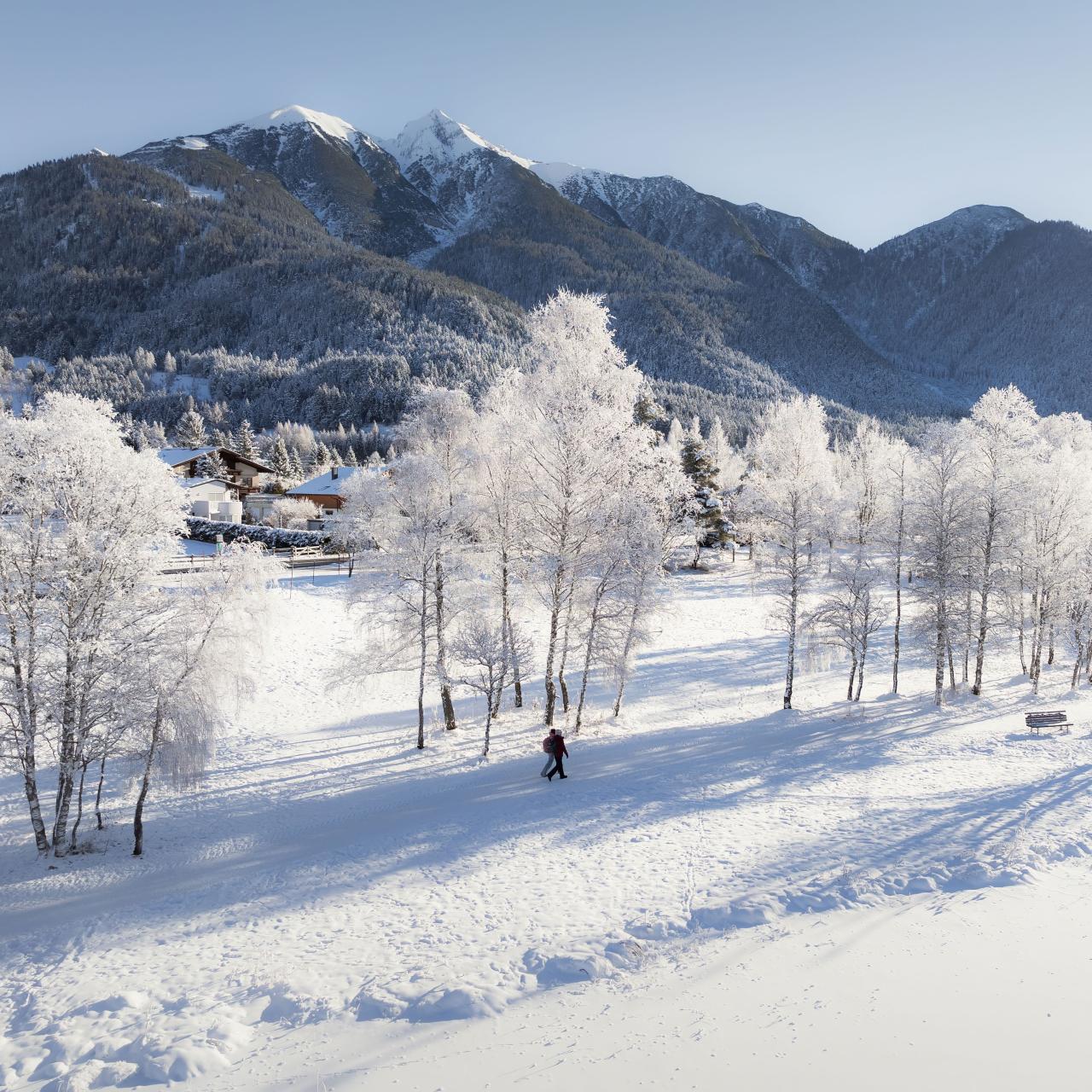 Winterwandern in der Region Seefeld_Drohnenaufnahme_Mann und Frau laufen am Wildsee entlang vereister Bäume