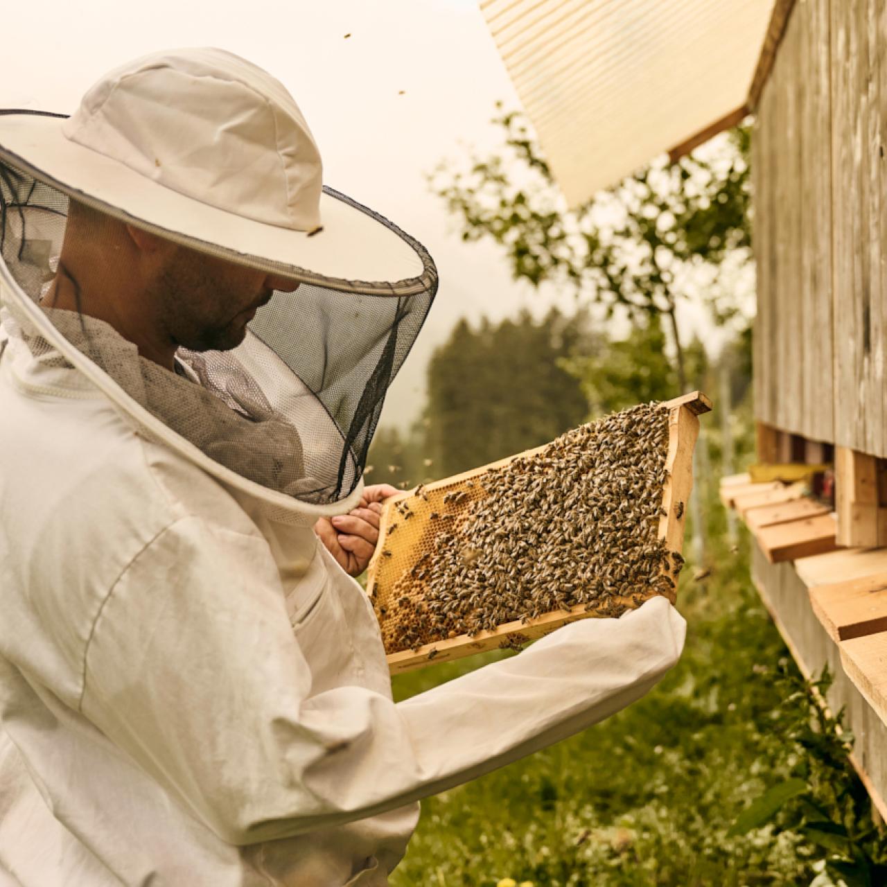 Change Maker Hotel Hirben Garten Imker Fabian eigene Bienen