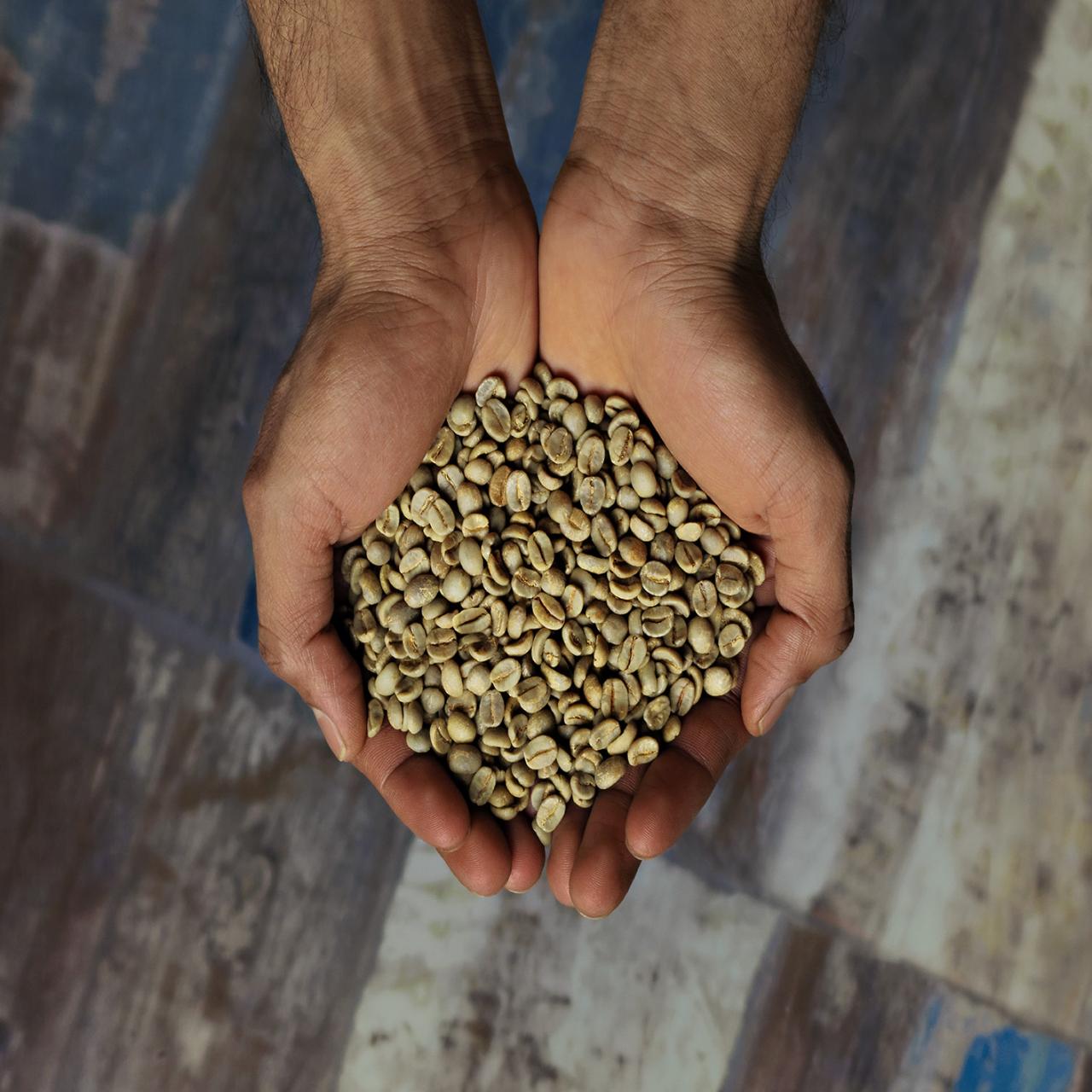 Kaffee Illy Hände Bohnen