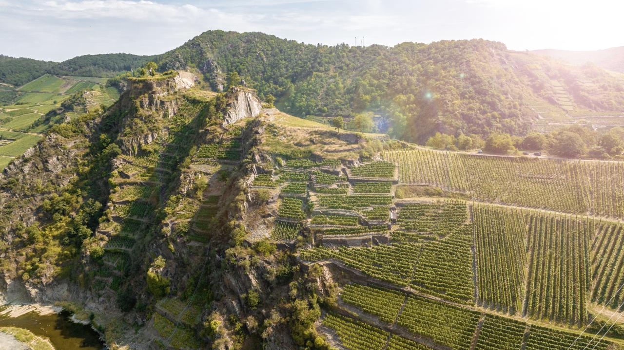 Weingenuss bei einer Wanderung rund um die Saffenburg im Ahrtal