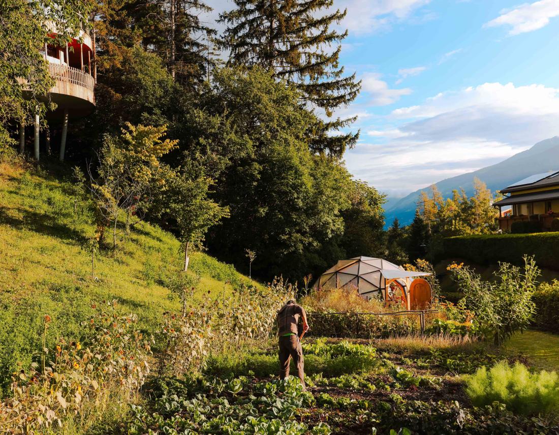 CMH_Waldhof2_Gemüsegarten