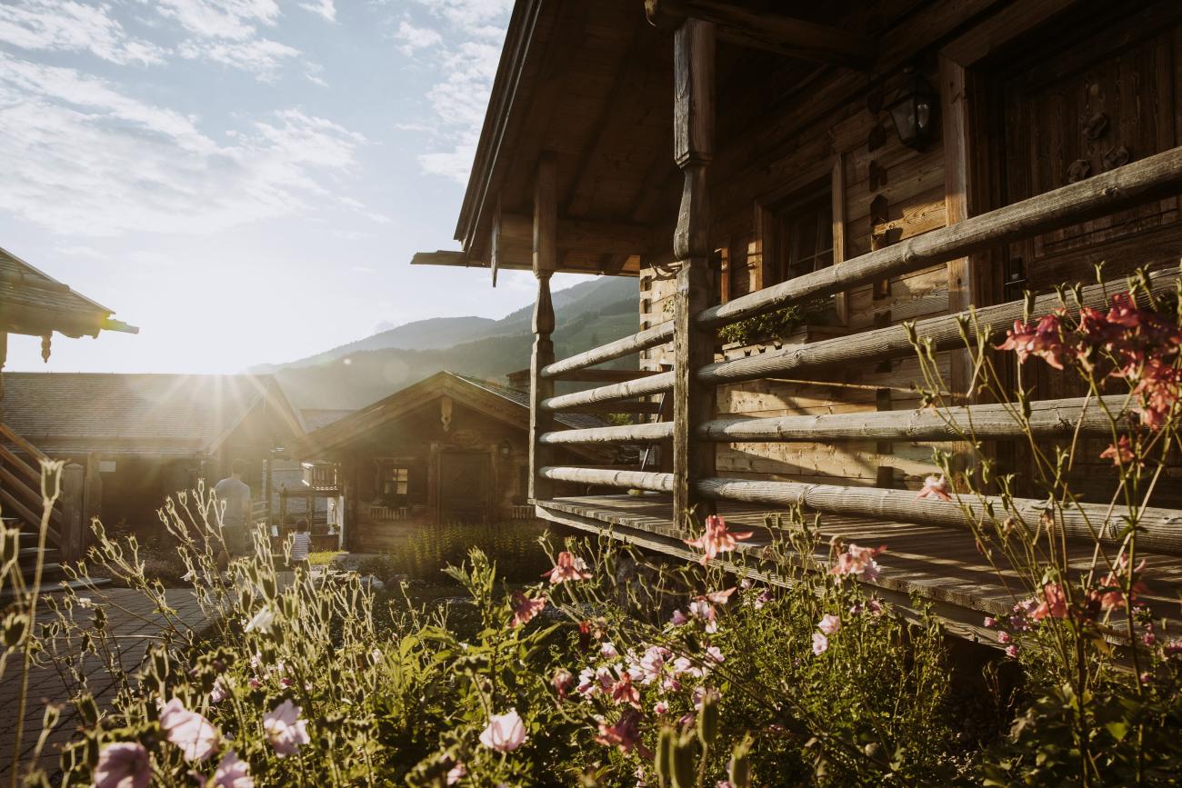 Holzhaus mit Plfanuen und Blumen im Sonnenuntergang