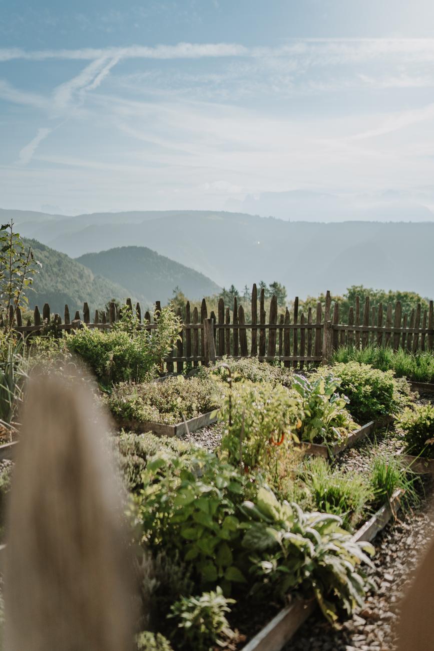 Kräutergarten im Hotel zum Hirschen in Südtirol