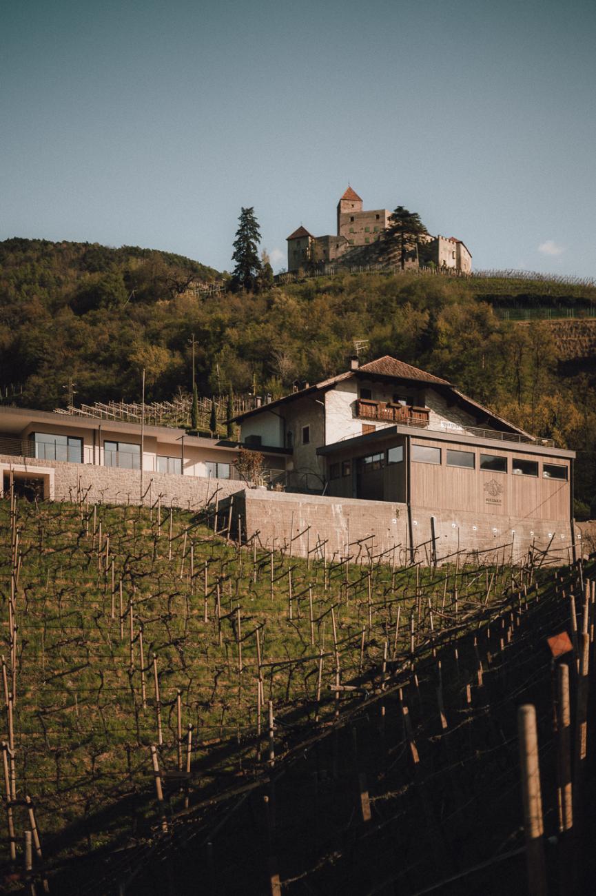 Change Maker Hotels Blog Pitzner Winery Südtirol