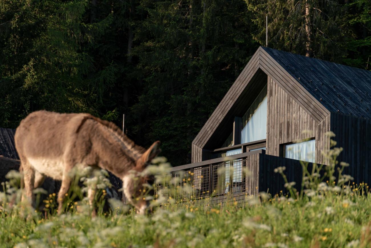 Change Maker Hotel Pfösl Sommer