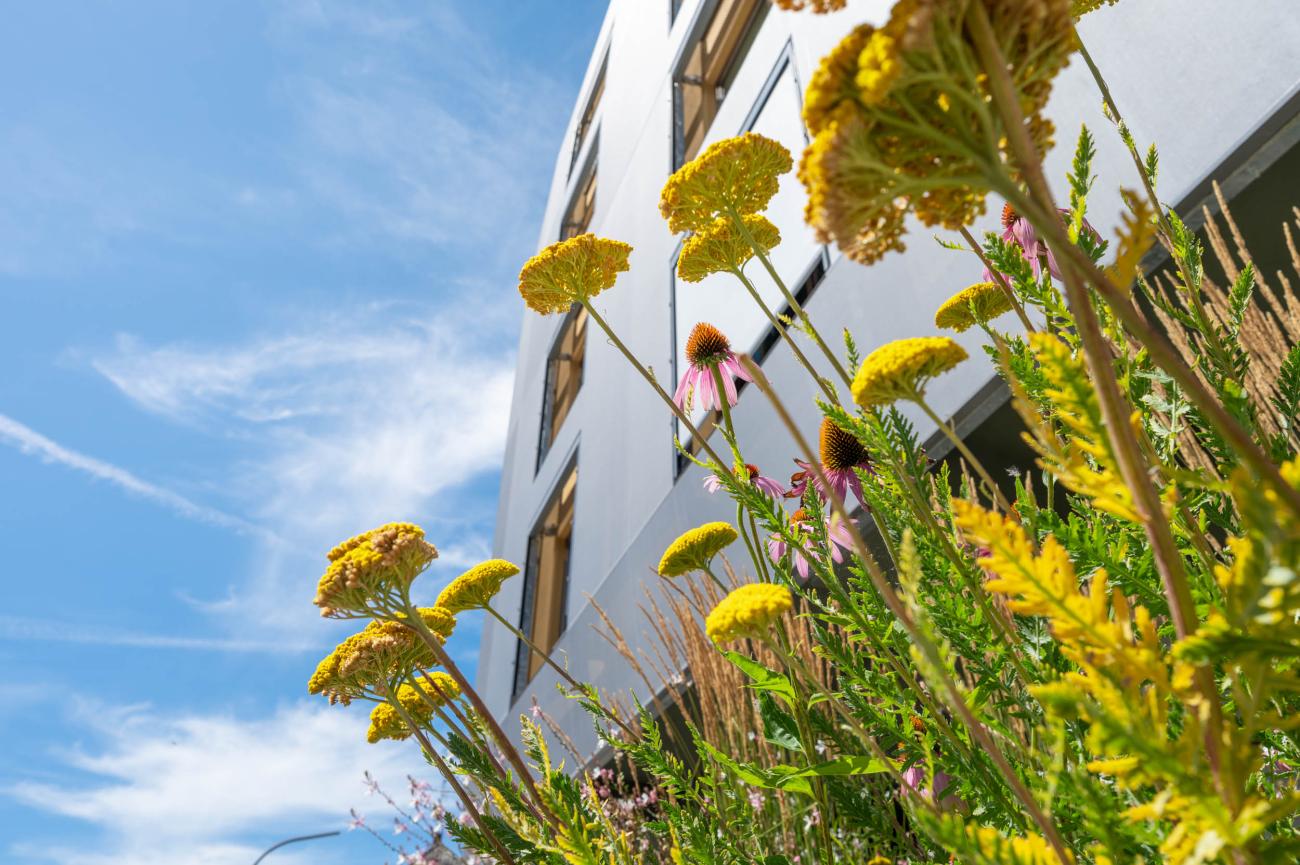 Change Maker Hotel Maier Friedrichshafen Blumen Fassade