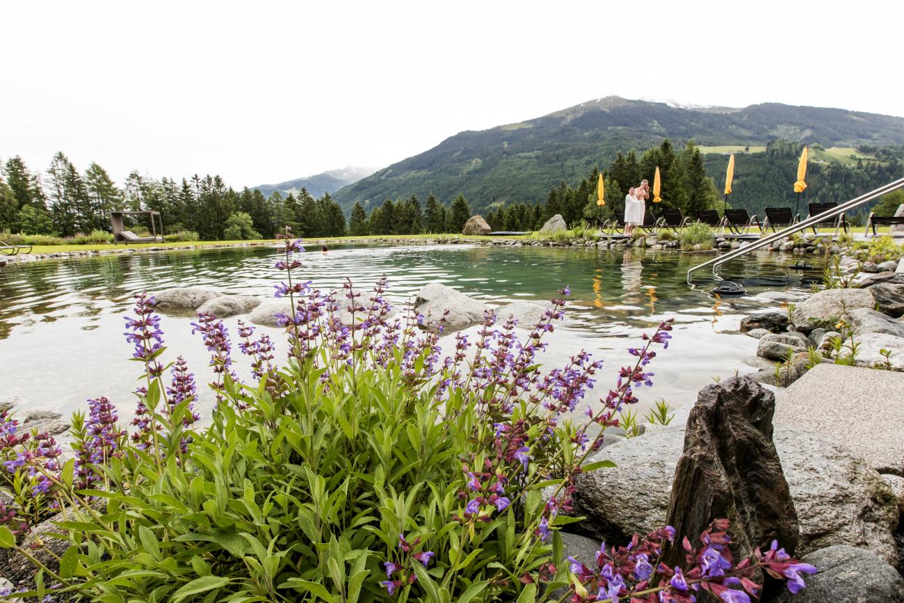 Schwimmteich im Gut Sonnberghof