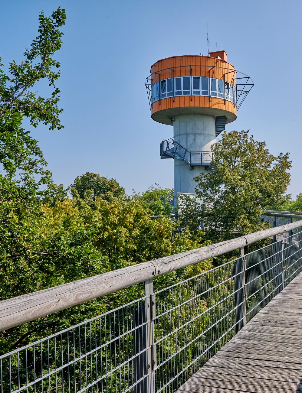 Aussichtsturm-Baumkronenpfad-Steg