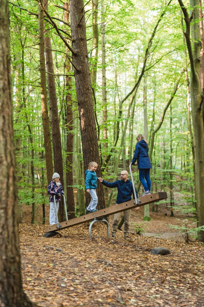 Erklärtafeln im Kinderheilwald mit Mitmach-Stationen für Kinder auf der Insel Usedom_04_c_