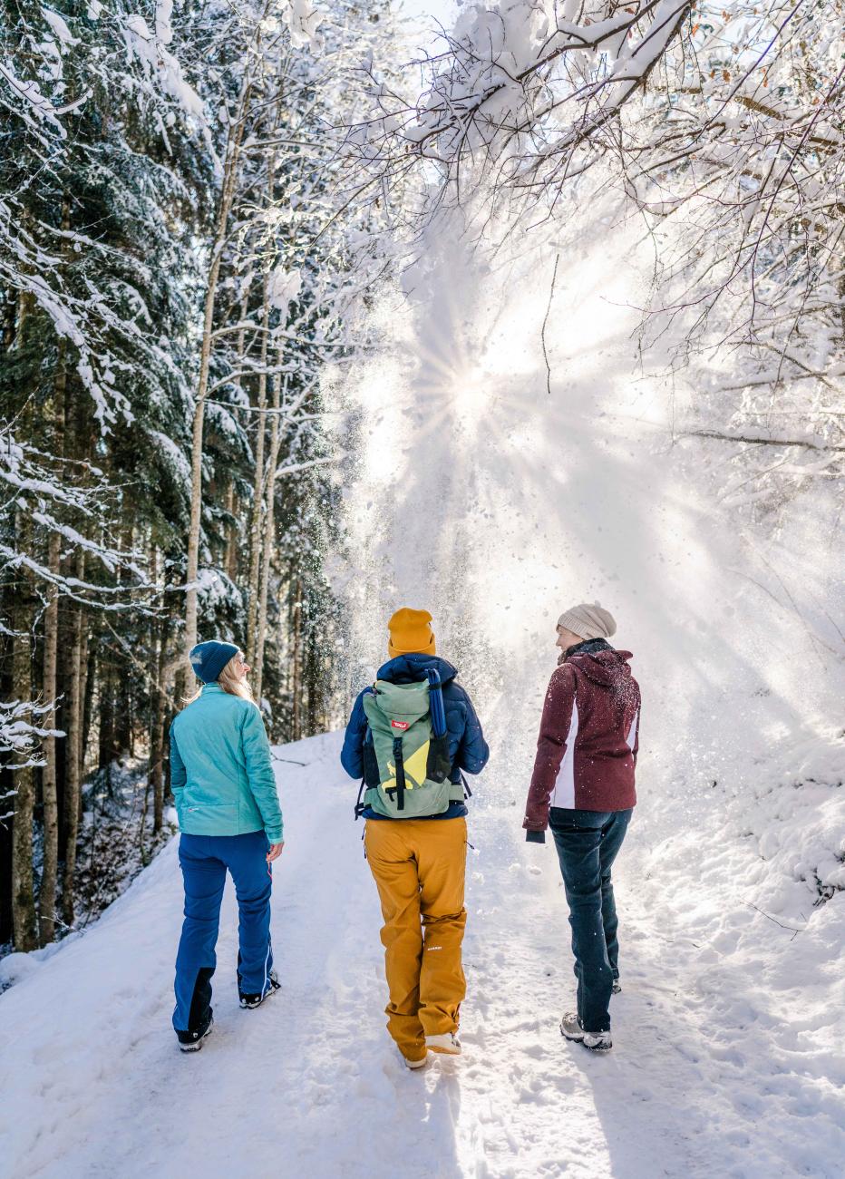 Winterwandern_Wilder_Kasier_Waldbaden_Winterwandern_Scheffau