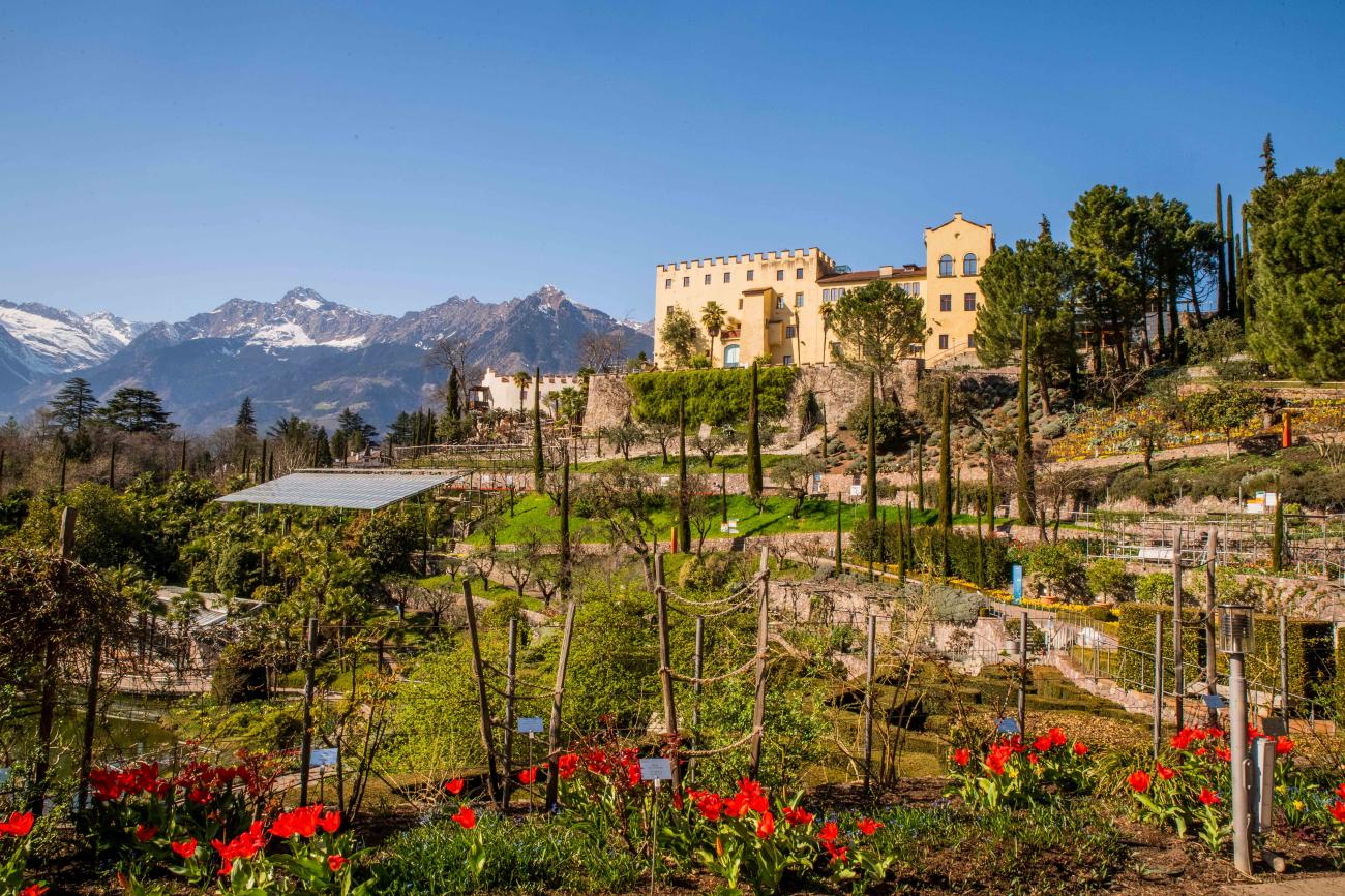 Schenna  Die Gärten von Schloss Trauttmansdorff