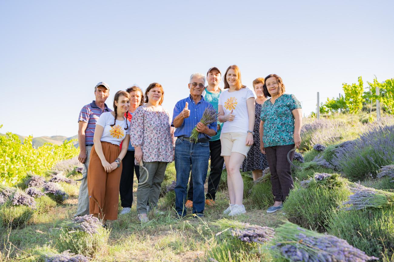 Besuch bei der Lavendelernte in Albanien
