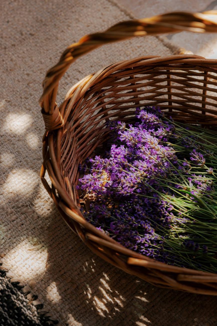 CMH_Waldhof2_Lavendel im Korb
