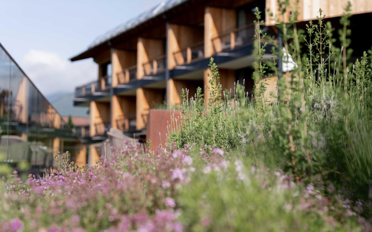 CMH_GutSonnberghof_Kräuter vorm Hotel