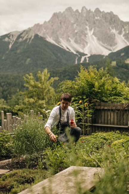 Koch in einem Kräuertgarten mit Bergen im Hintergrund