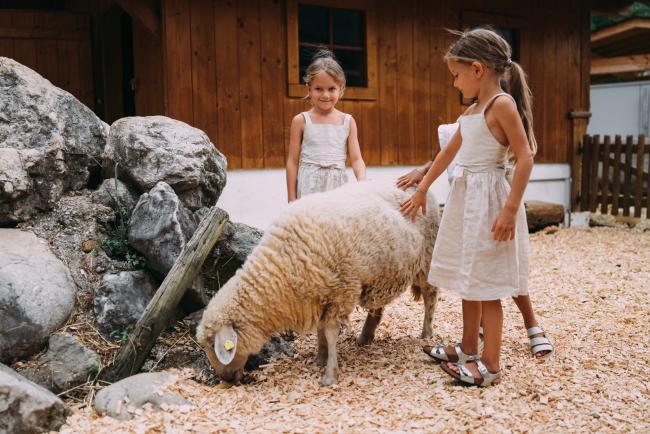 Zwei Mädchen, die ein Schaf streicheln
