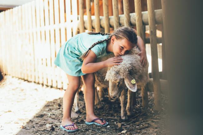 Mädchen, das ein Schaf umarmt