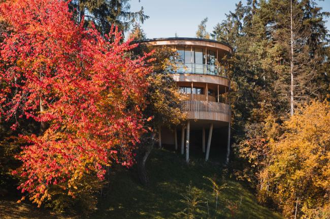 Holzgebäude zwischen herbstlichen Bäumen