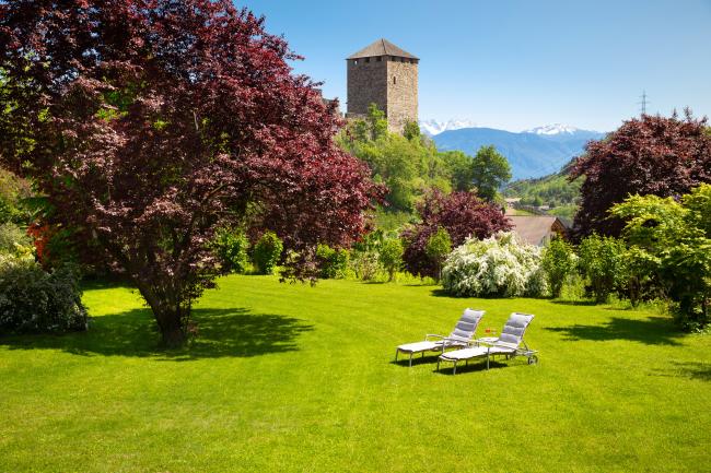 Garten mit viel Büschen und Bäumen und zwei weißen Liegen