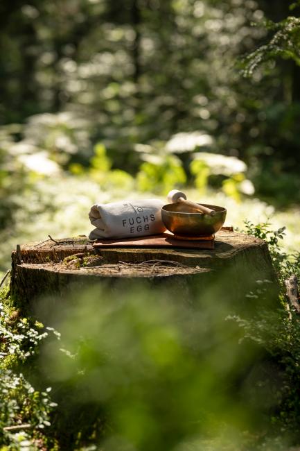 Achtsamkeitsangebot im Wald rund um das Fuchsegg Eco Lodge