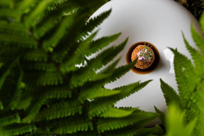 Chefstable Gericht im Haus Jausern