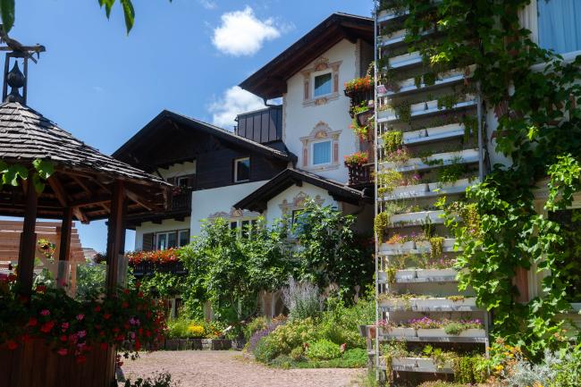 Living Wall an der Fassade vom Bio- & Bikehotel Steineggerhof