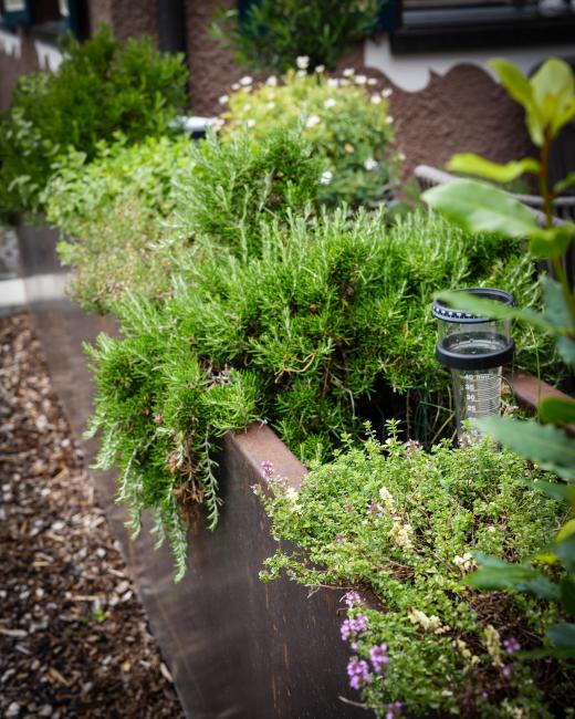 Kräutergarten vom Ellgass Allgäu Hotel