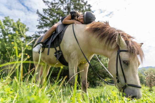 Waldhof Fuschlsee Resort Reiten