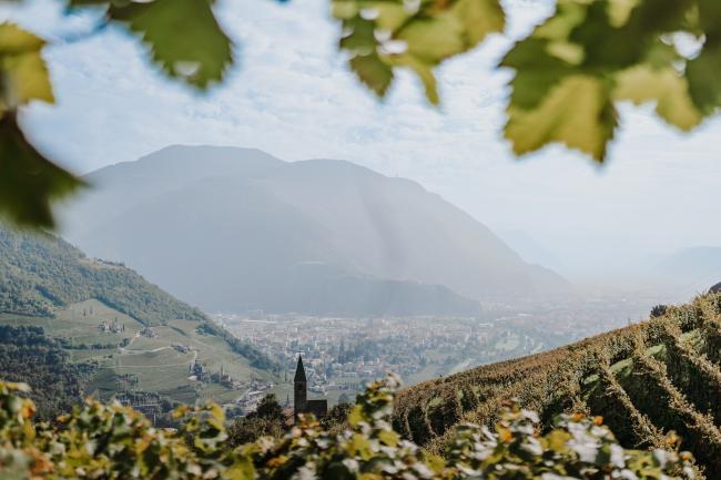 Weingut Zum Hirschen Jenesien
