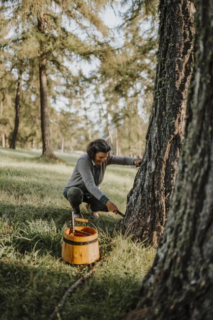 Lärchenfeld in Jenesien