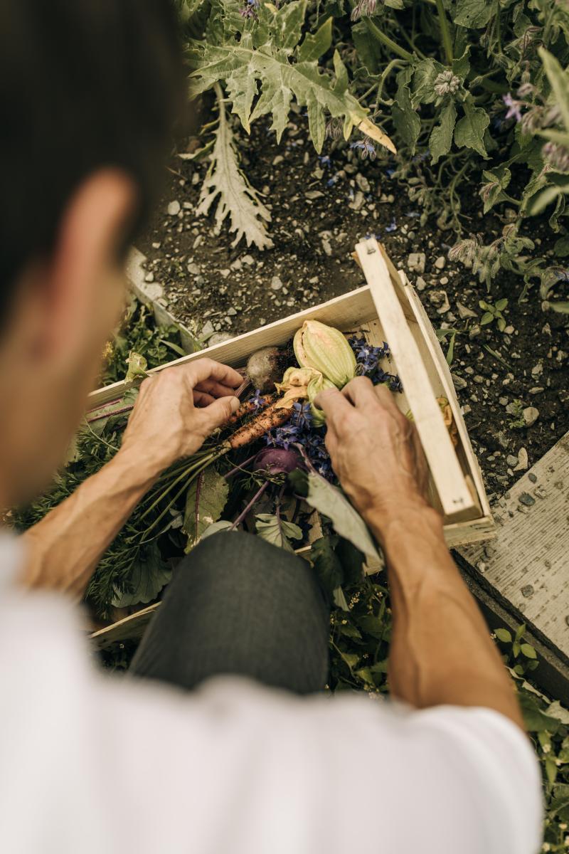 Mann, der eine Kiste mit Gemüse bearbeitet