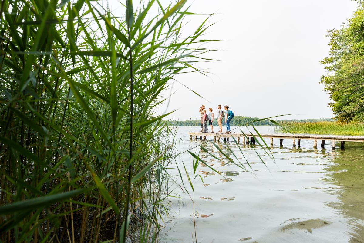 Hiking in the biosphere reserve Schaalsee_5