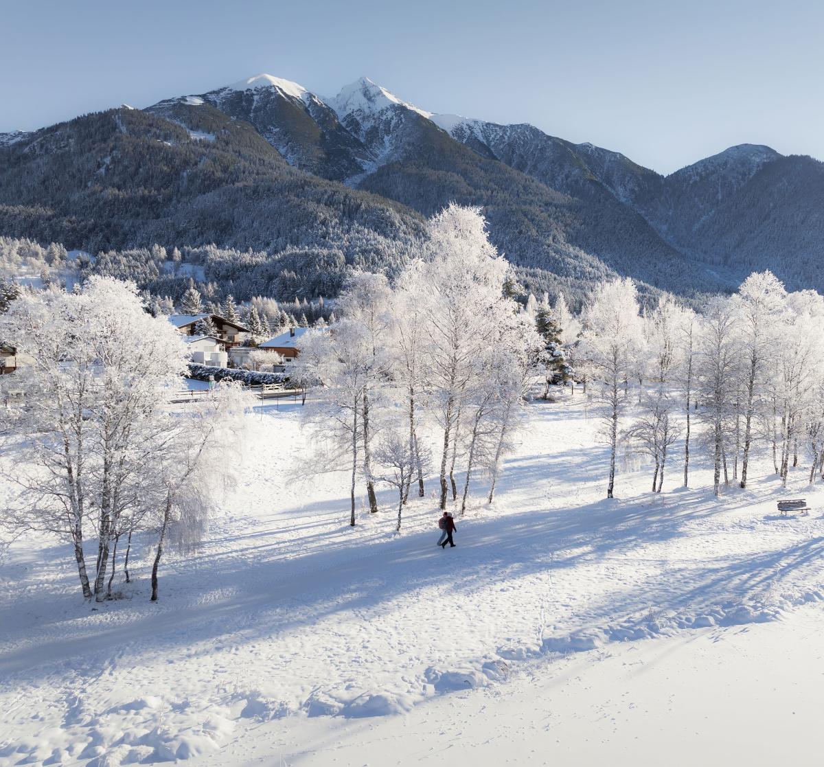 Winterwandern in der Region Seefeld_Drohnenaufnahme_Mann und Frau laufen am Wildsee entlang vereister Bäume