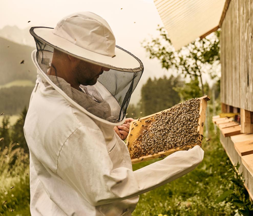 Change Maker Hotel Hirben Garten Imker Fabian eigene Bienen