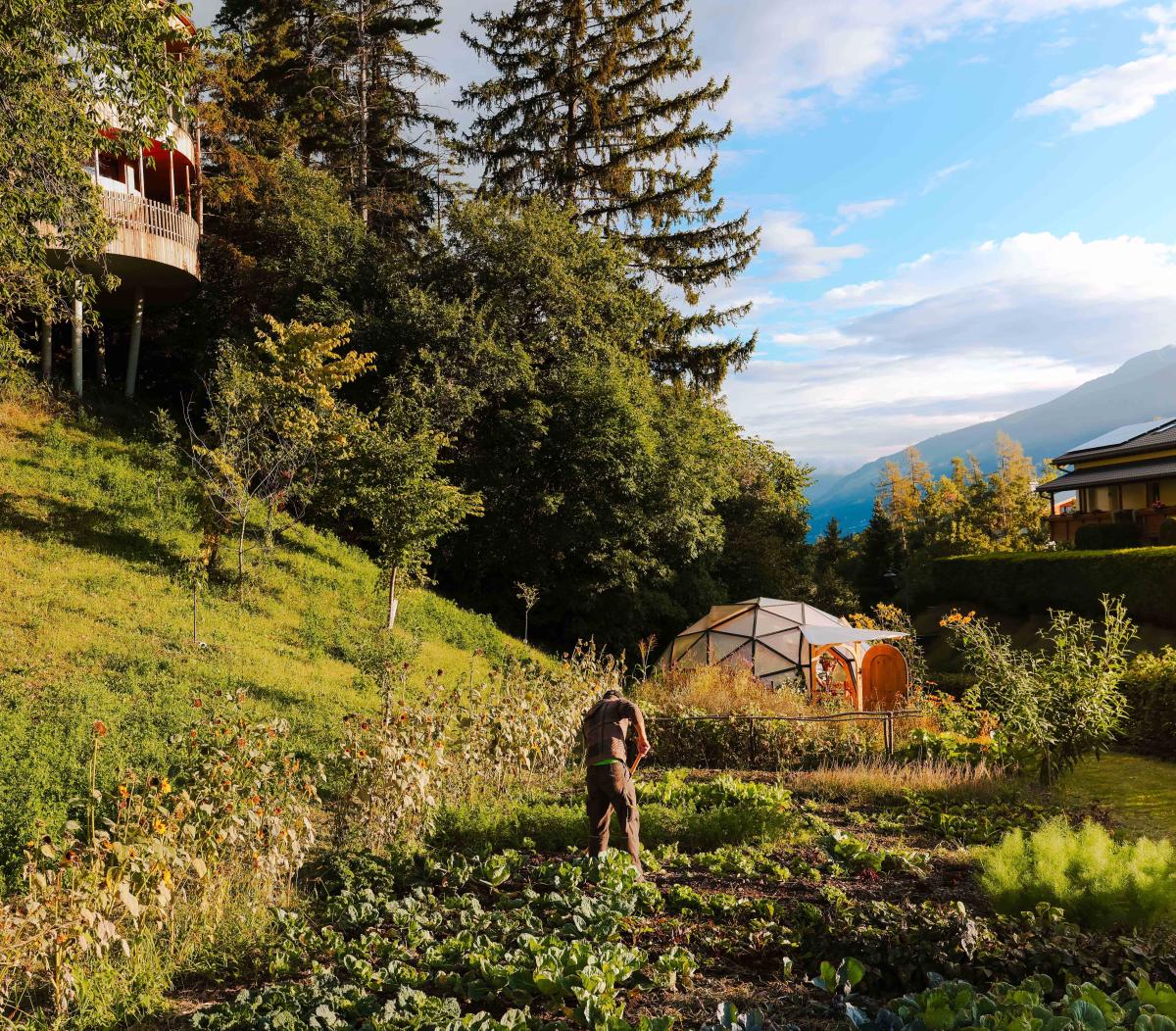 CMH_Waldhof2_Gemüsegarten