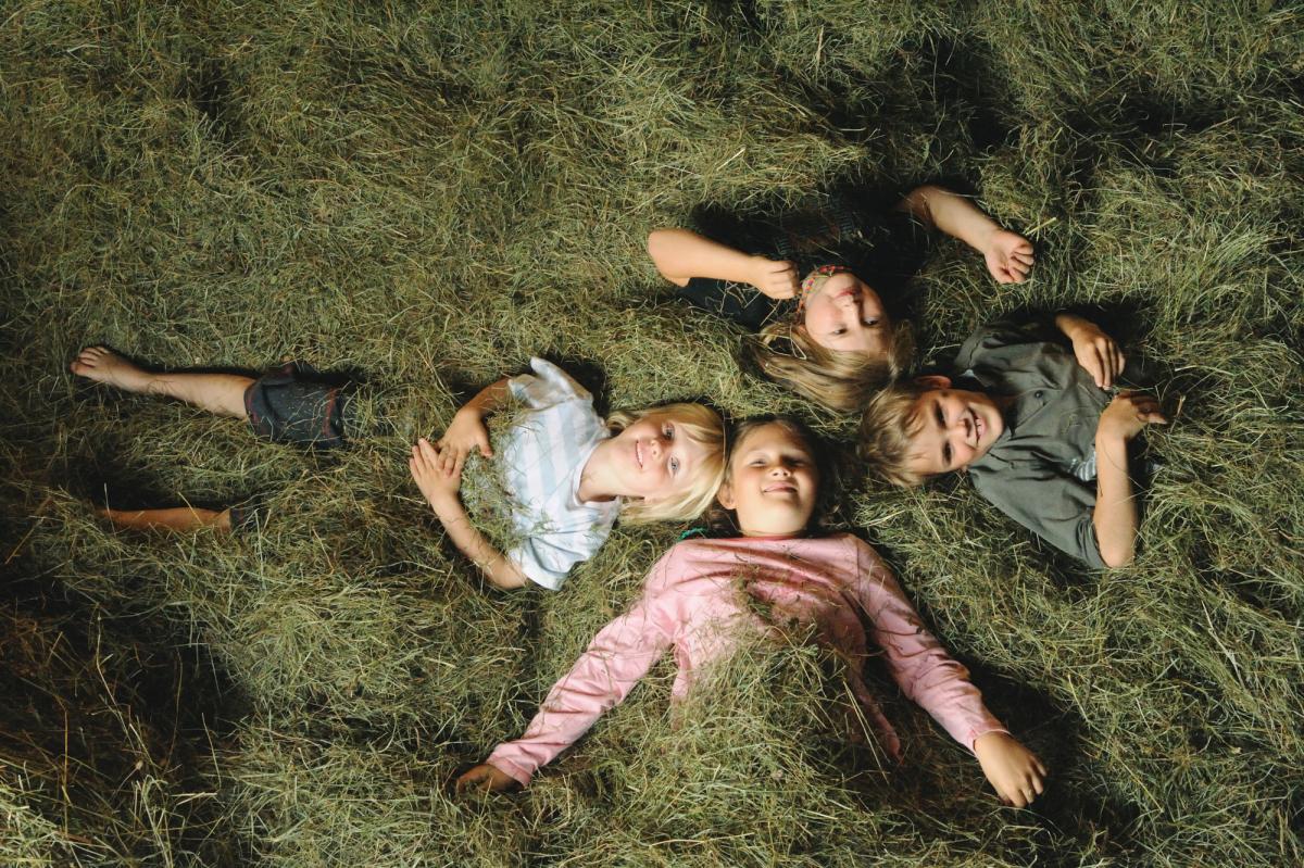 Change Maker Hotel Stern Schlafen im Heu